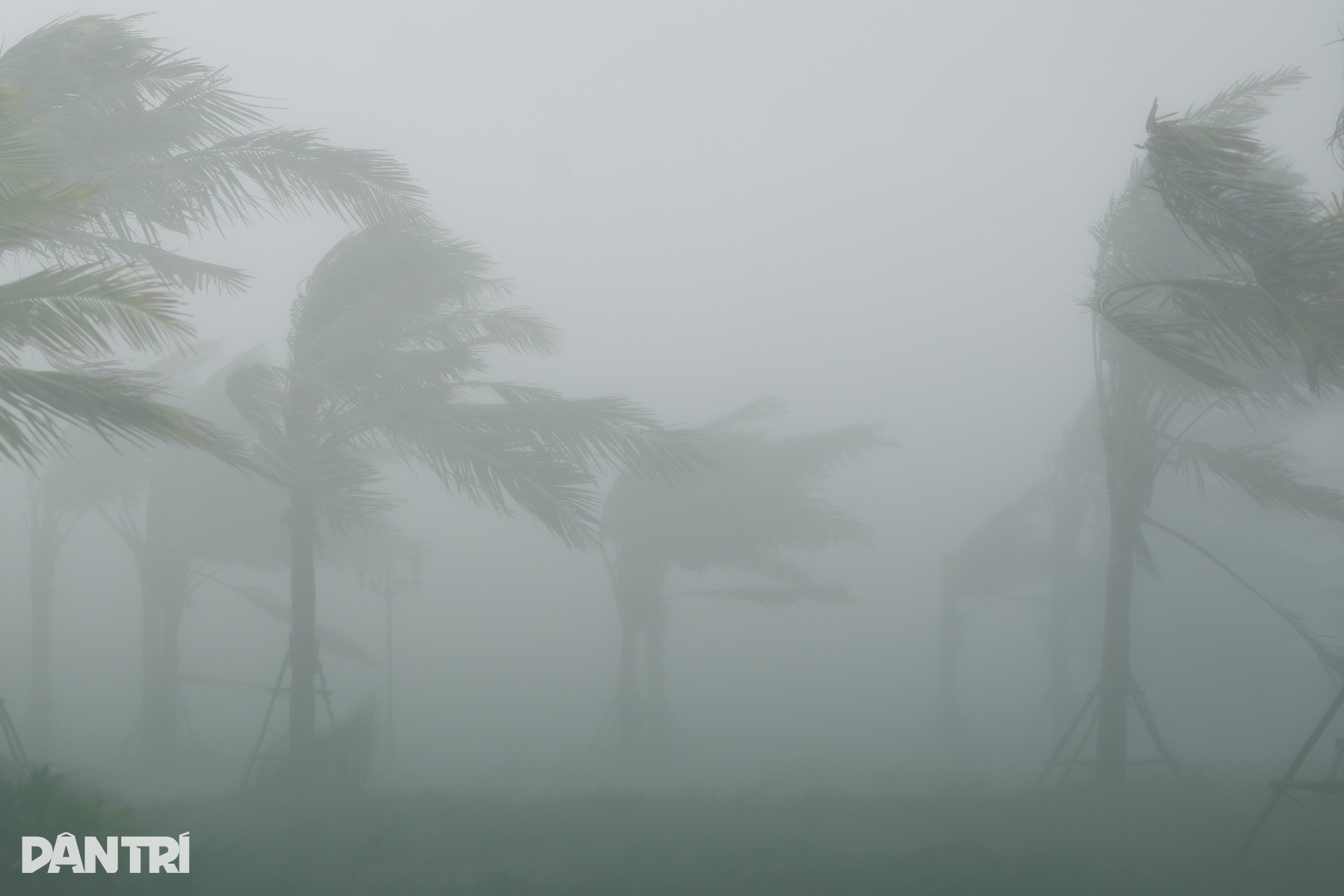 Nghệ An, Hà Tĩnh oằn mình chống bão Kajiki: Cây đổ, nhà tốc mái tứ tung - 17 Nghệ An, Hà Tĩnh oằn mình chống bão Kajiki: Cây đổ, nhà tốc mái tứ tung - 17