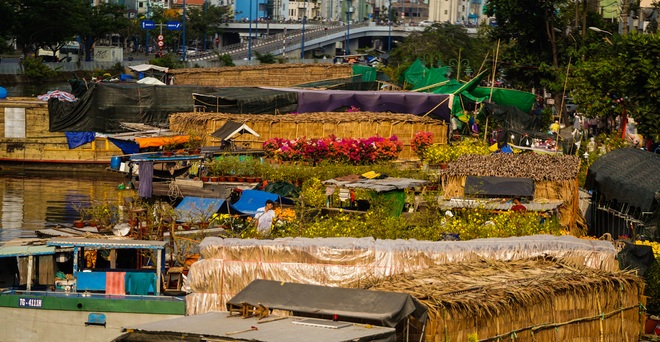 Một lần đi chợ hoa trên bến dưới thuyền độc, lạ nhất Sài Gòn - 14 Một lần đi chợ hoa trên bến dưới thuyền độc, lạ nhất Sài Gòn - 14