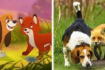 Những thước phim hoạt hình như “sao y” từ thế giới động vật