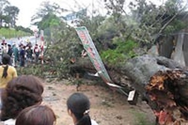 Cây cổ thụ trên 100 năm tuổi đổ ập xuống nhà dân