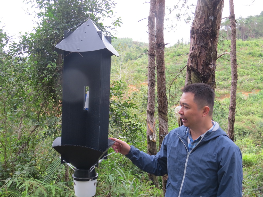 Australia giúp Việt Nam bảo vệ rừng trước nguy cơ từ sinh vật ngoại lai - 1 Australia giúp Việt Nam bảo vệ rừng trước nguy cơ từ sinh vật ngoại lai - 1