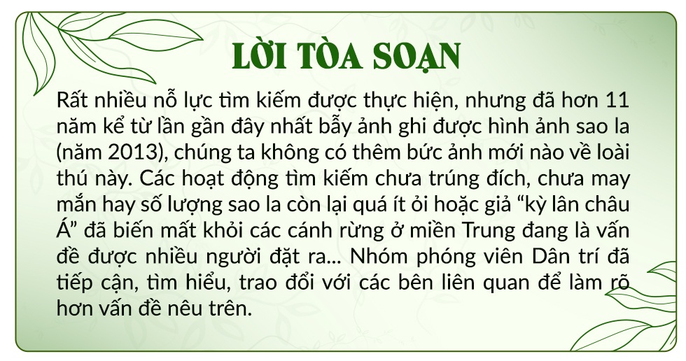 Nôn nao khi nhận tin báo phát hiện sao la - 19