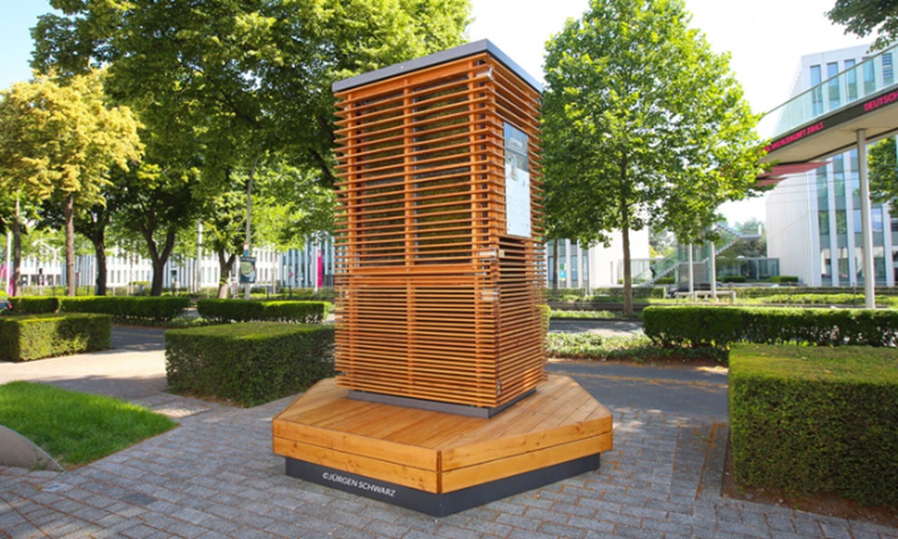 Cây lọc không khí bằng rêu, giảm tình trạng ô nhiễm đáng kinh ngạc - 1