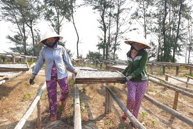 Đỏ lửa làng nghề hấp cá ở Bình Minh