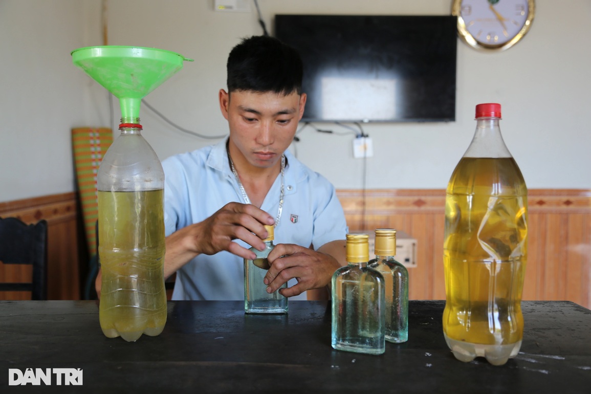 Từ cây mọc hoang dại, thanh niên khuyết tật chế ra tinh dầu, thu tiền triệu - 3 Từ cây mọc hoang dại, thanh niên khuyết tật chế ra tinh dầu, thu tiền triệu - 3