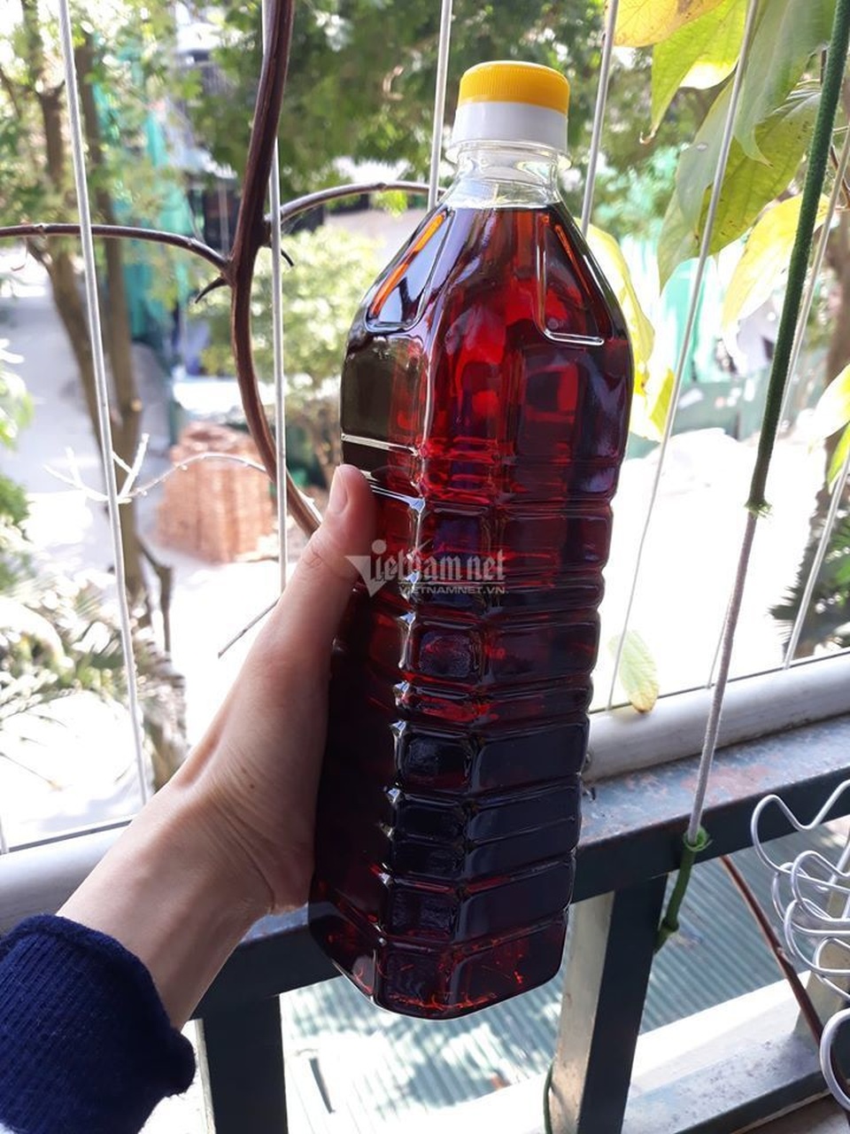 Ủ vại mắm suốt 3 năm, rút nước cốt đặc biệt bán cho dân sành - 4 Ủ vại mắm suốt 3 năm, rút nước cốt đặc biệt bán cho dân sành - 4