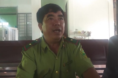 Mâu thuẫn việc bàn giao gỗ giữa các bên liên quan và Lãnh đạo Hạt kiểm lâm khẳng định văn bản "mạo danh"
