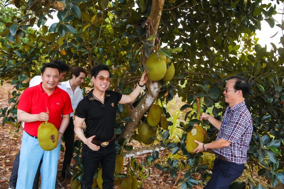 Ngọc Sơn làm nông dân chính hiệu trong khu vườn 2 hecta lần đầu tiết lộ - 16 Ngọc Sơn làm nông dân chính hiệu trong khu vườn 2 hecta lần đầu tiết lộ - 16