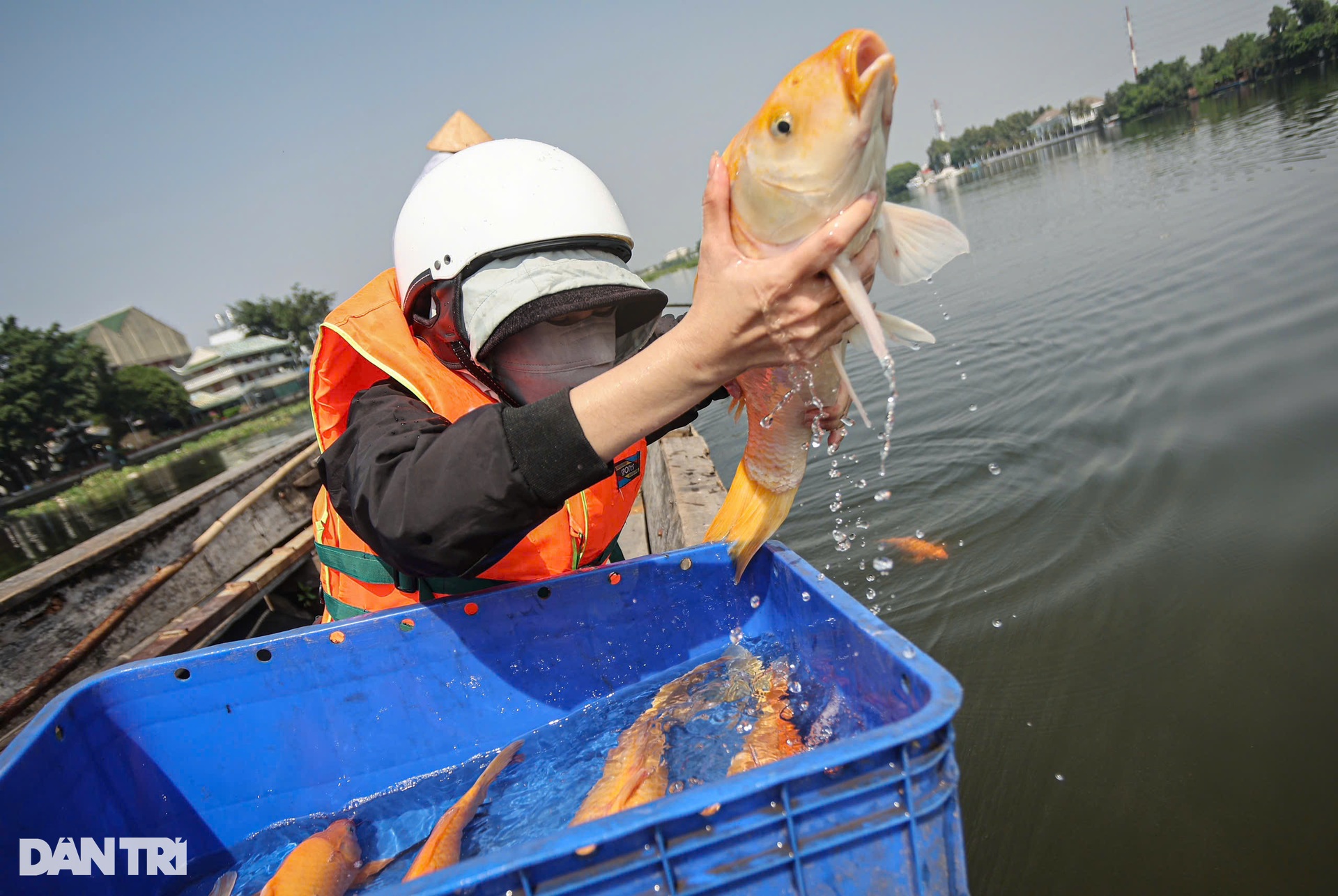 Người dân đi ghe thả cá chép, tiễn ông Táo giữa sông Sài Gòn - 1 Người dân đi ghe thả cá chép, tiễn ông Táo giữa sông Sài Gòn - 1