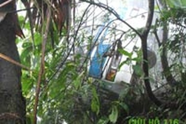 Xe khách rơi mắc vào cây, 35 người thoát chết 