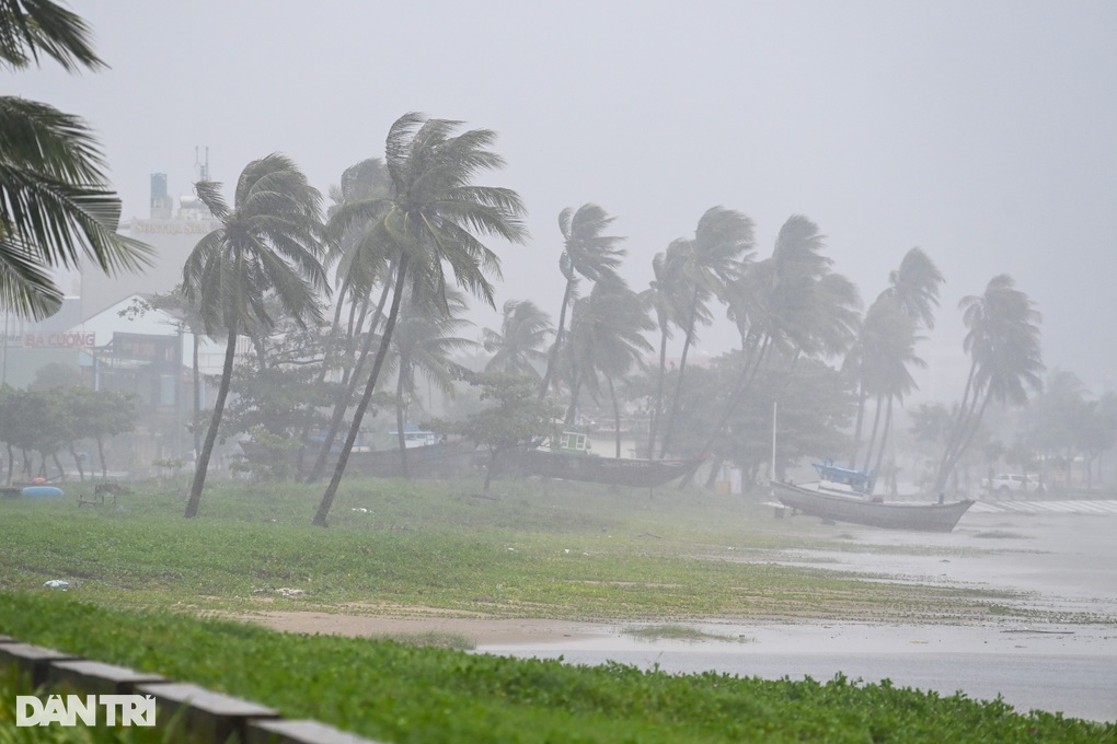 Tôn bay, cây đổ, thuyền đắm trong bão Noru - 2 Tôn bay, cây đổ, thuyền đắm trong bão Noru - 2