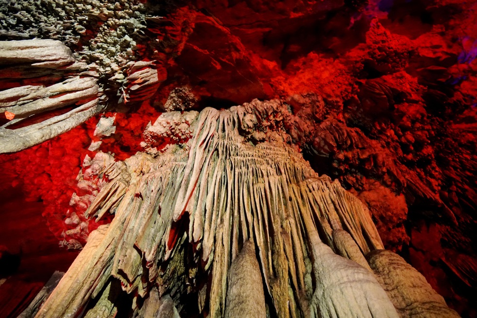 Ngắm cây võng tiên hàng trăm năm tuổi trước cửa động Từ Thức - 3