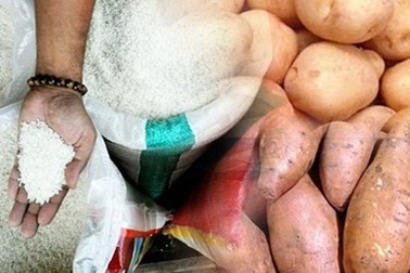 Kiểm soát "gạo giả" trên thị trường