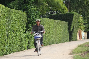 Ngỡ ngàng trước vẻ đẹp của làng quê Hà Tĩnh