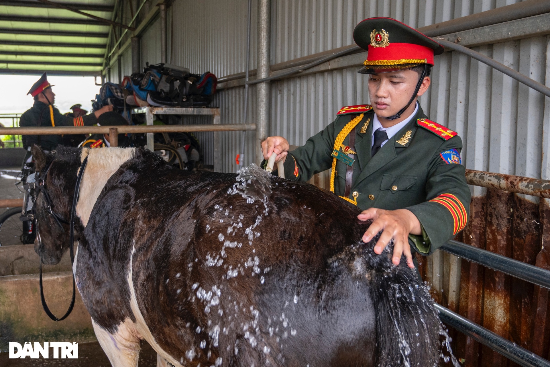 Vó ngựa rền vang nơi thao trường, CSCĐ Kỵ binh sẵn sàng cho đại lễ A80 - 14