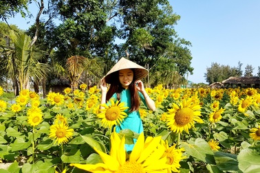 Những điểm check-in hấp dẫn dịp Tết Nguyên đán gần Hội An