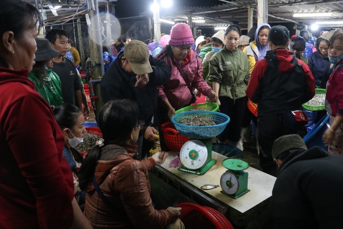 Hằng đêm, cá hàng chục tấn tôm, cua, cá,...các loại được trao đổi, mua bán tại chợ Đồi 30