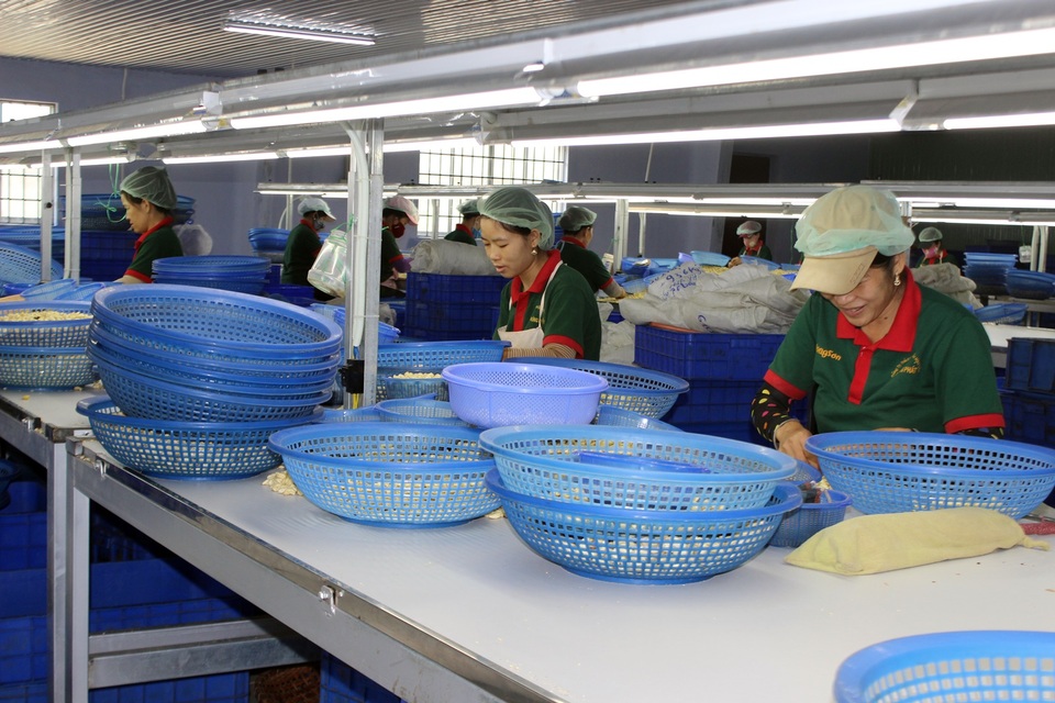Phú Yên: Hơn 1.600 lao động bị doanh nghiệp, đơn vị trốn đóng BHXH - 1 Phú Yên: Hơn 1.600 lao động bị doanh nghiệp, đơn vị trốn đóng BHXH - 1