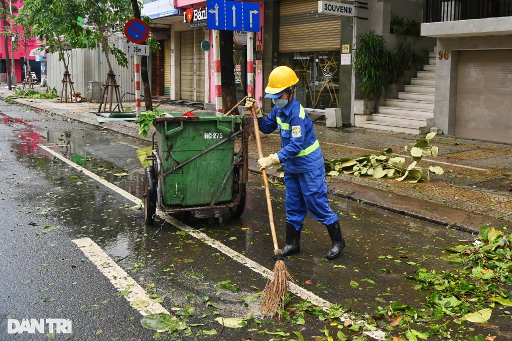 Người dân Đà Nẵng thở phào, khẩn trương dọn dẹp hậu quả sau bão - 4 Người dân Đà Nẵng thở phào, khẩn trương dọn dẹp hậu quả sau bão - 4