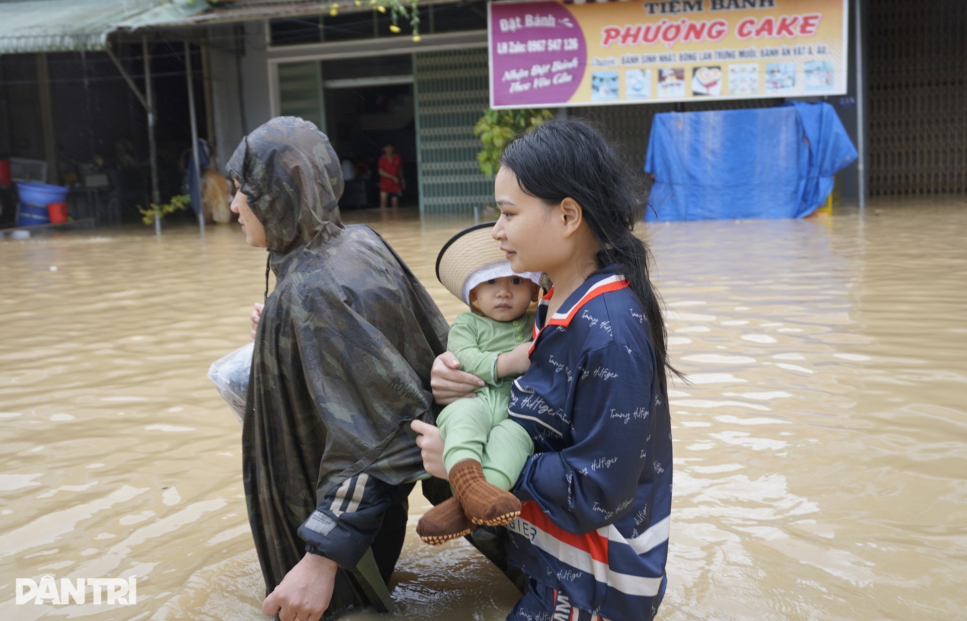Người dân Gia Lai vật lộn giữa lũ lịch sử, đưa bò đến trụ sở xã trú - 8 Người dân Gia Lai vật lộn giữa lũ lịch sử, đưa bò đến trụ sở xã trú - 8