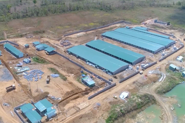 3 trại heo ở Gia Lai bị phạt gần 1 tỷ đồng