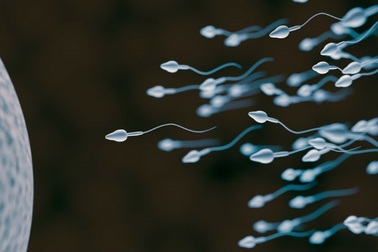 Giải pháp tăng cơ hội thụ thai tự nhiên thành công khi nam giới bị tinh trùng yếu