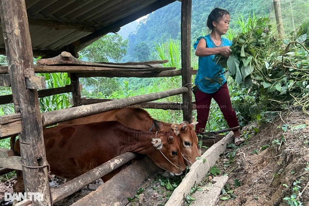 Mẹ đơn thân nuôi 3 con, ước 1 chỗ nằm kín gió cũng thấy quá khó - 5 Mẹ đơn thân nuôi 3 con, ước 1 chỗ nằm kín gió cũng thấy quá khó - 5