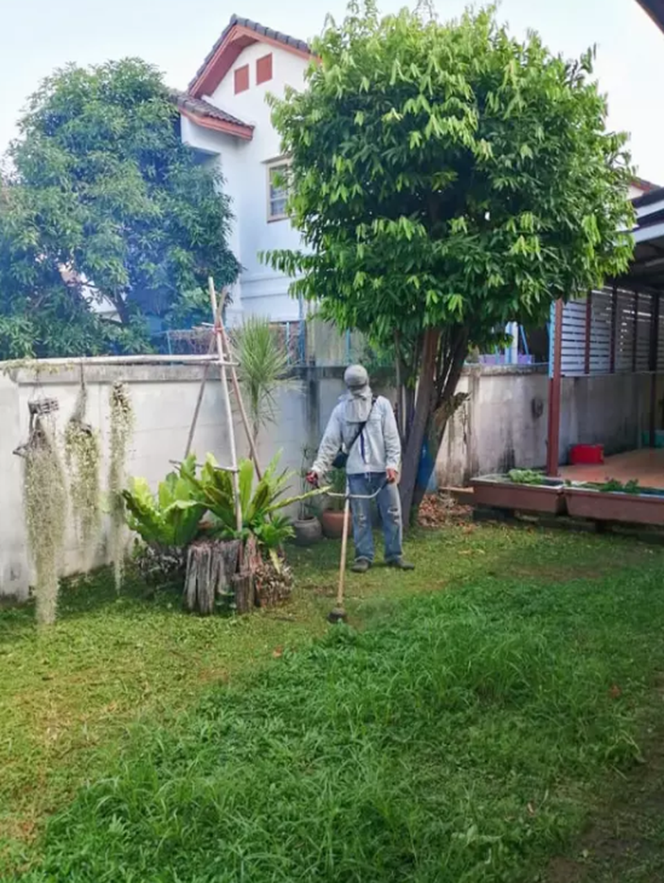 Tai nạn máy cắt cỏ, bé trai bị ốc vít cắm vào mắt - 3 Tai nạn máy cắt cỏ, bé trai bị ốc vít cắm vào mắt - 3
