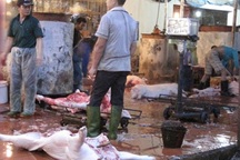 Cuộc chiến thịt thối, rau bẩn: Người tiêu dùng luôn... thua 