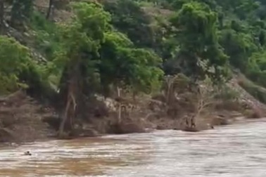 Nhiều người Lào liều mình vượt sông sang Nghệ An xin cứu trợ