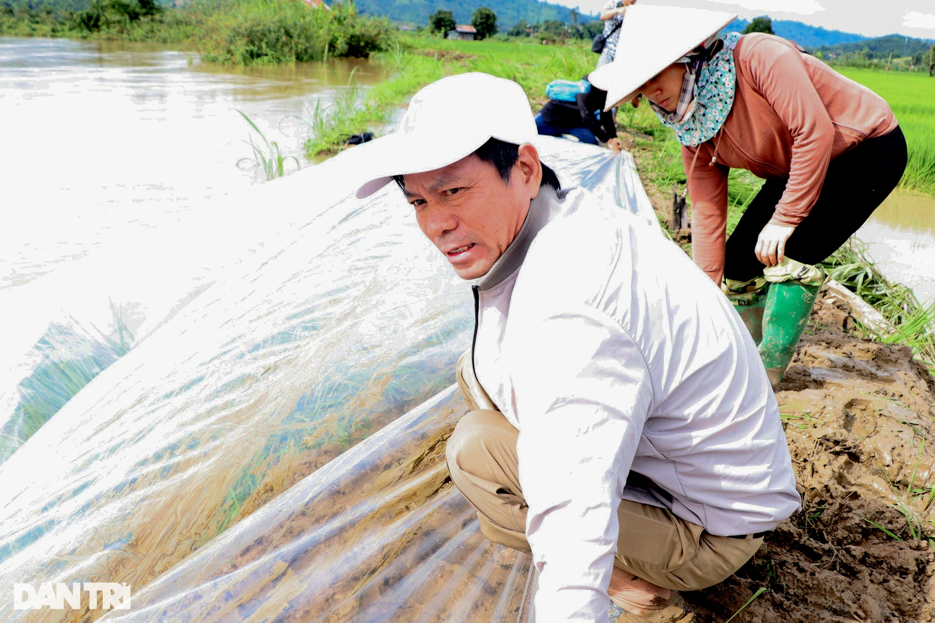 Nông dân căng mình đắp đê cứu nghìn héc ta lúa nguy cơ ngập trắng - 6 Nông dân căng mình đắp đê cứu nghìn héc ta lúa nguy cơ ngập trắng - 6