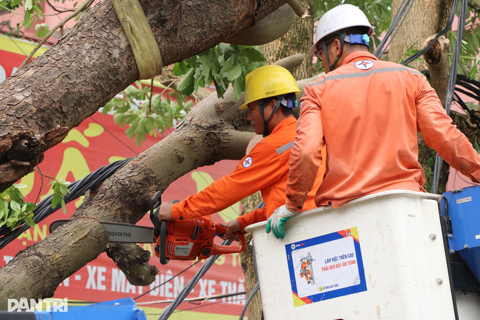 Những người thợ áo cam căng mình dựng cột, nối đường dây sau bão Kajiki - 10 Những người thợ áo cam căng mình dựng cột, nối đường dây sau bão Kajiki - 10