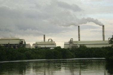 “Thách” nhau cùng bảo vệ sông Thị Vải