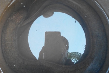 Cận Tết, bắt được lươn đồng "khủng"