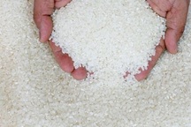 Gạo Việt Nam xuất khẩu giá thấp vì giống lúa “lôm côm”?