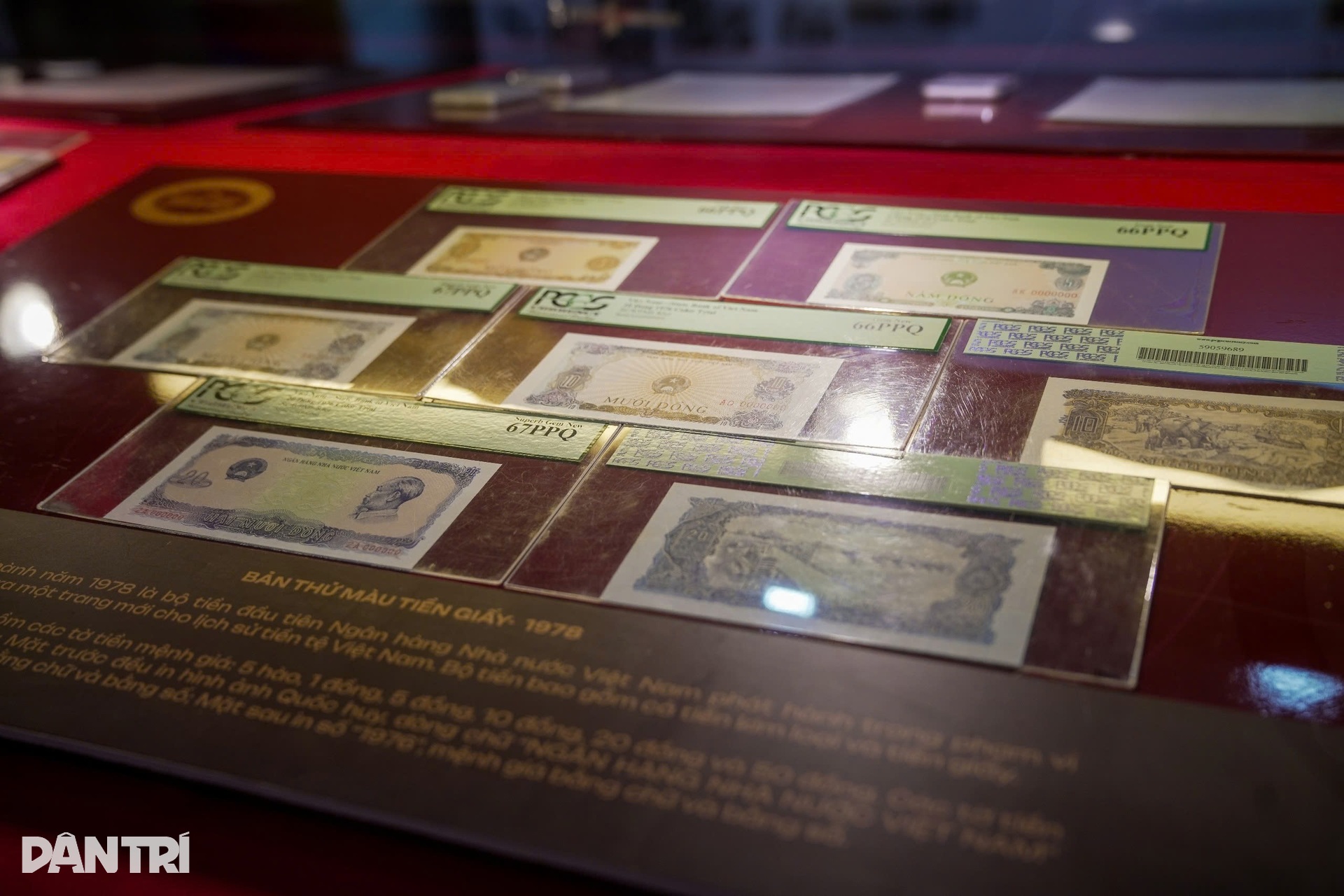 ទីក្រុងហូជីមិញ បង្ហាញវត្ថុបុរាណរូបិយវត្ថុវៀតណាមជាង ១.៥០០ ពីសម័យកាលផ្សេងៗគ្នា - 10