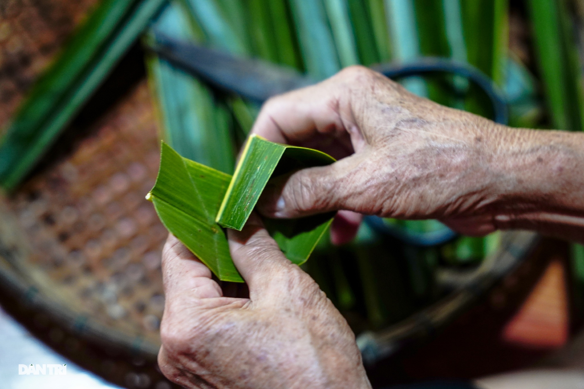 Về Cồn Sơn xem cá lóc… bú bình, ăn cơm phải… đút - 15