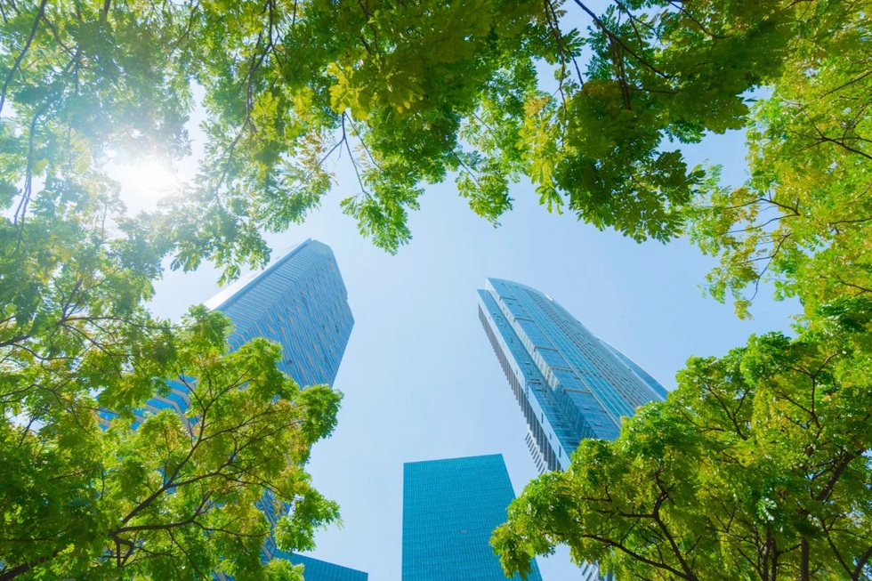 Chuyên gia: Diễn đàn ESG Việt Nam sẽ truyền cảm hứng cho doanh nghiệp - 1