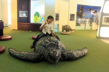 Nhật Tiến trượt băng, đãi vàng tại Úc