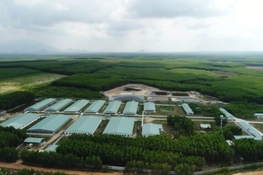 Nova Consumer đặt mục tiêu vốn hóa tỷ đô khi "lấn sân" hàng tiêu dùng