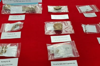 Phát hiện di tích cư trú của người tiền sử trong hang động núi lửa ở Tây Nguyên