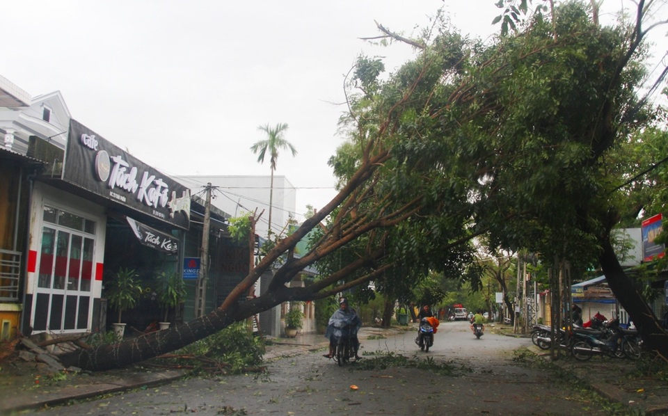 Tàu chìm, nhà sập, trường học tốc mái, cây xanh ngã đổ trong bão số 13 - 13 Tàu chìm, nhà sập, trường học tốc mái, cây xanh ngã đổ trong bão số 13 - 13