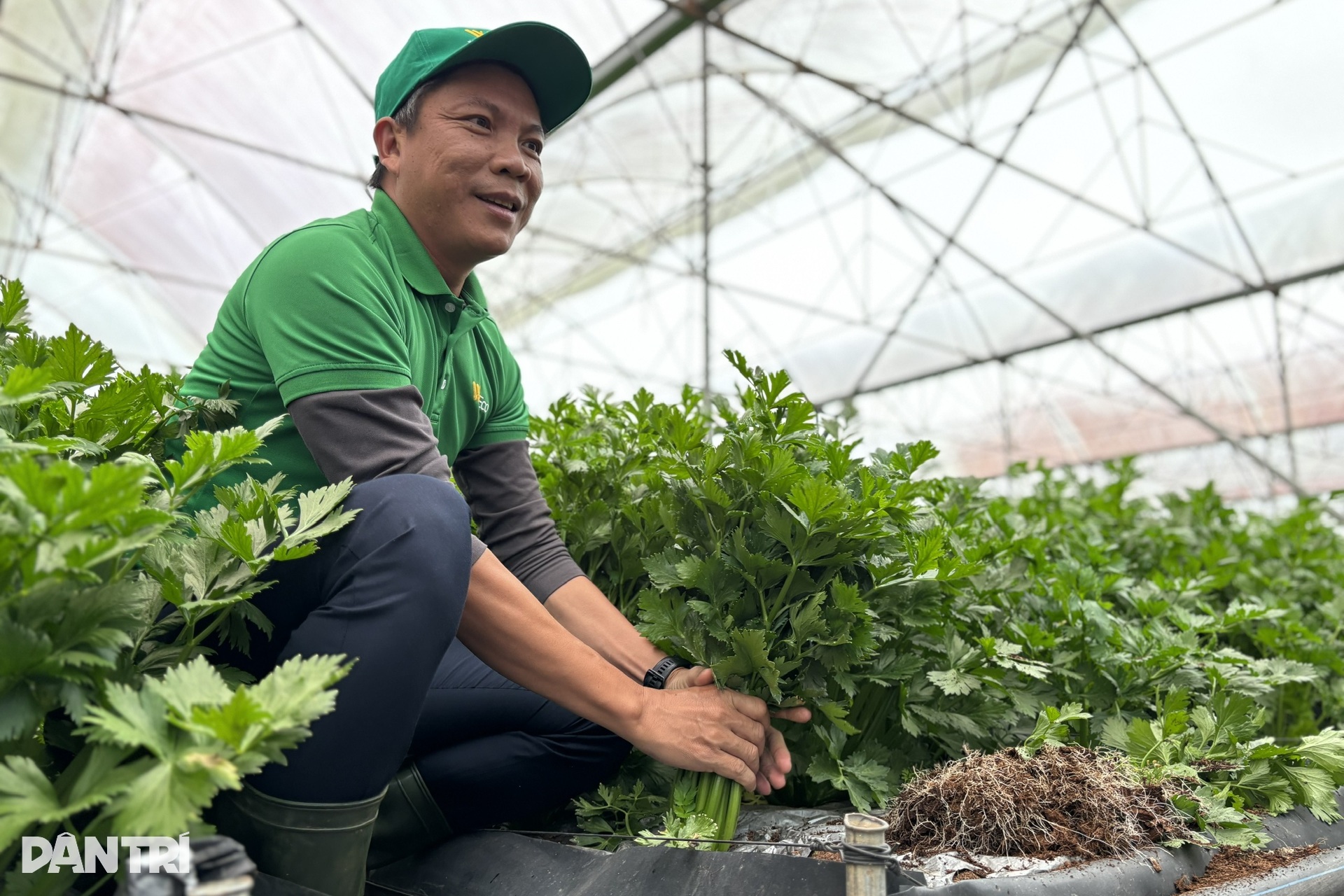 Thêm 40 người cho địa bàn lớn gấp 3, Giám đốc Sở ở TPHCM nói “điều sợ nhất” - 4 Thêm 40 người cho địa bàn lớn gấp 3, Giám đốc Sở ở TPHCM nói “điều sợ nhất” - 4