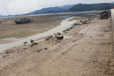 Huyện Vân Đồn lên tiếng vụ doanh nghiệp lấn biển bị phạt 100 triệu đồng