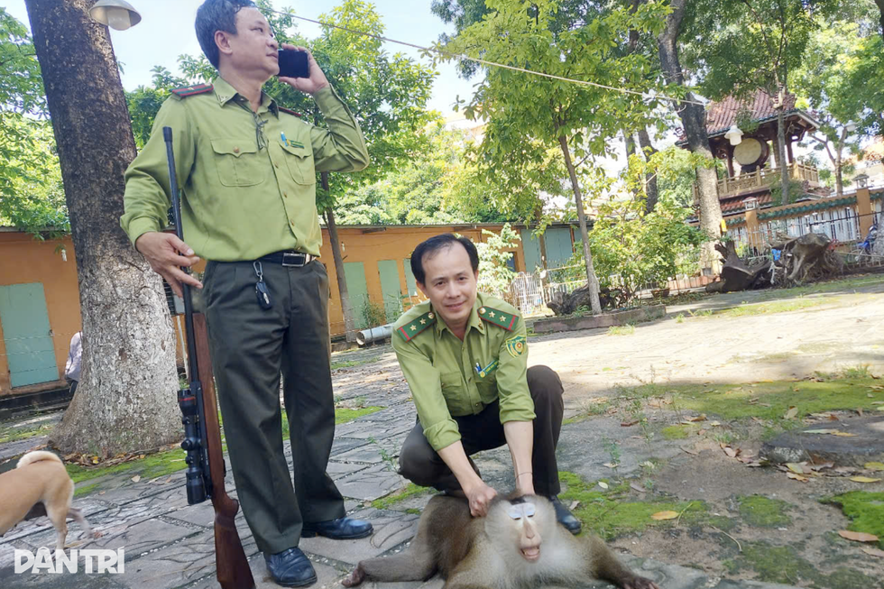 Những người hùng giải cứu động vật hoang dã ở TPHCM - 1 Những người hùng giải cứu động vật hoang dã ở TPHCM - 1