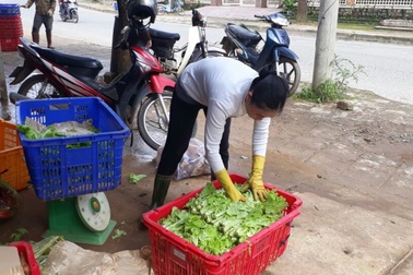 "Thủ phủ rau" Đà Lạt khan hàng, giá tăng đột biến