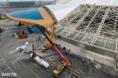 Lộ diện "thần Kim Quy" khổng lồ tại dự án triển lãm Top 10 châu Á ở Hà Nội