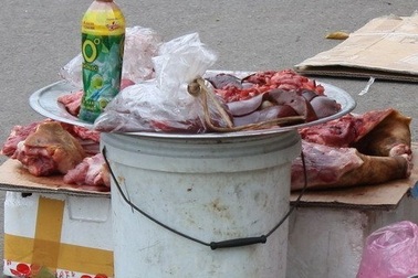 Thịt rừng... rởm ùn ùn xuống phố