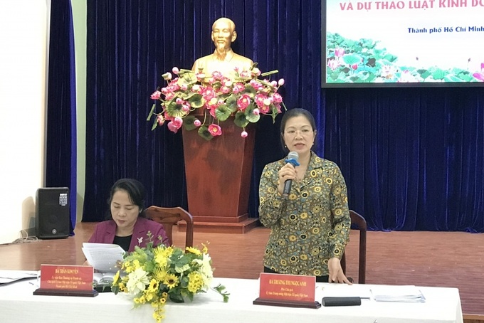 Phó Chủ tịch Uỷ ban TƯMTTQ Việt Nam Trương Thị Ngọc Ánh phát biểu tại hội thảo.