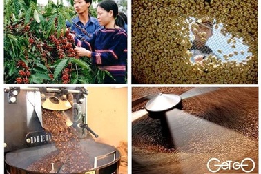 Cà phê “sinh thái” – Đỉnh cao mới của cà phê “sạch”